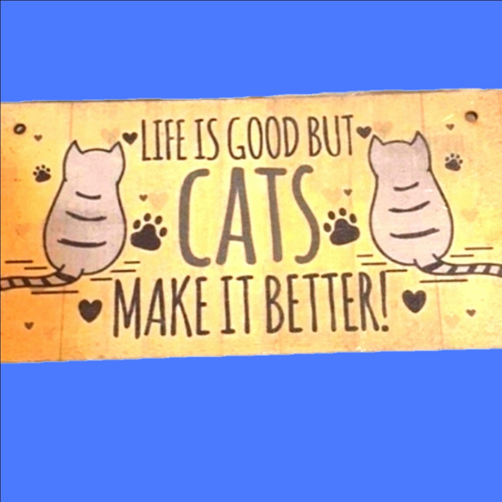 CAT Person? ...Here's YOUR SIGN!  🐈 😻